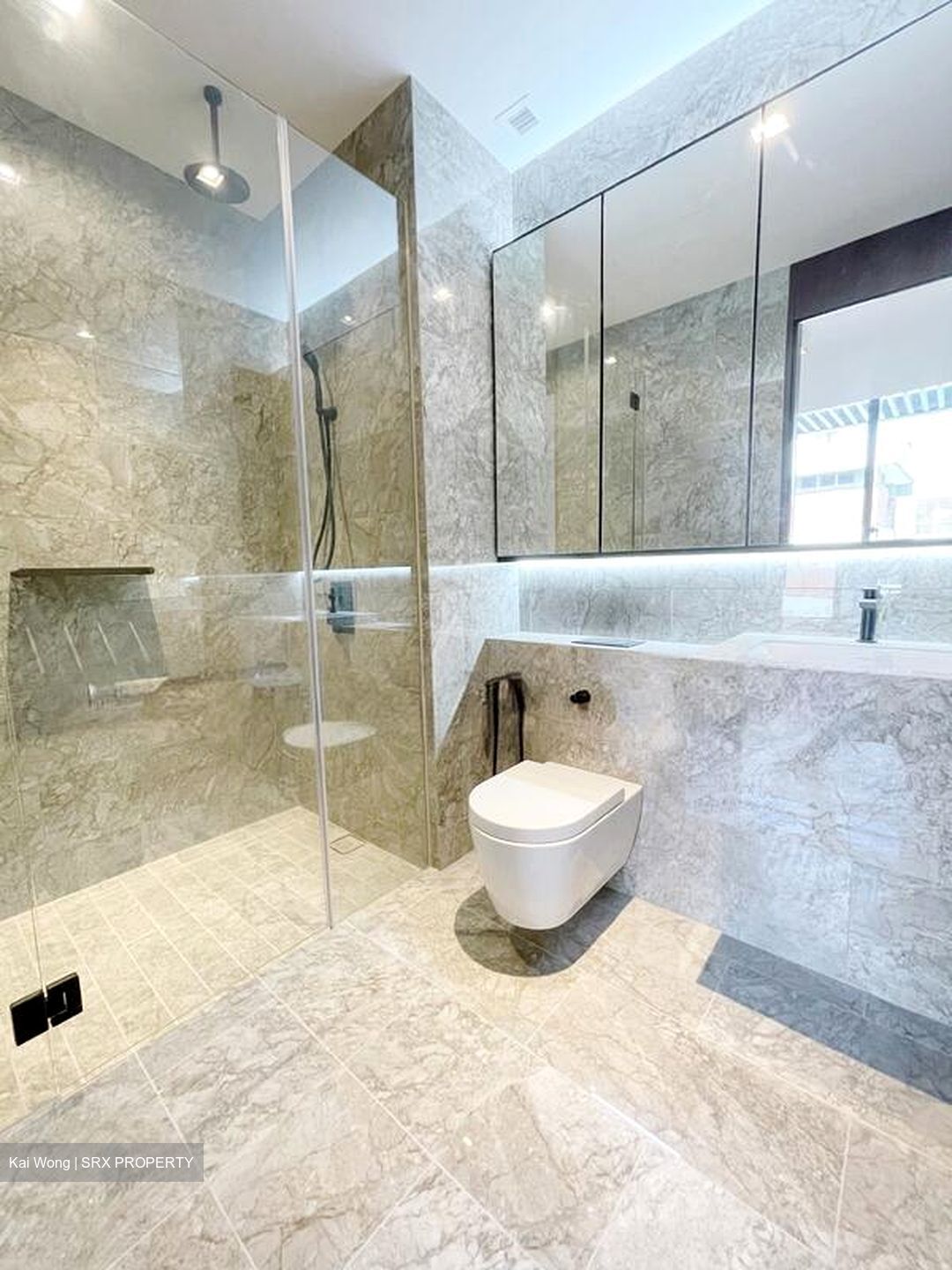 Jervois Privé (D10), Apartment #582305431